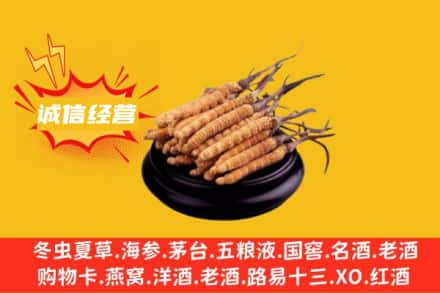 潍坊回收冬虫夏草